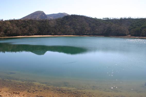 13.���т̍����̎ʐ^