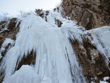 14.�����̎ʐ^