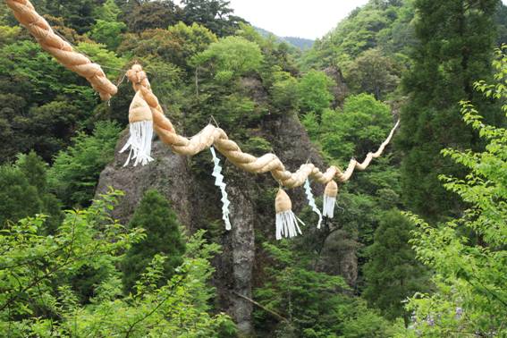 16.��q���x�̎ʐ^