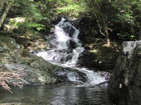 20.���d�̑�̎ʐ^