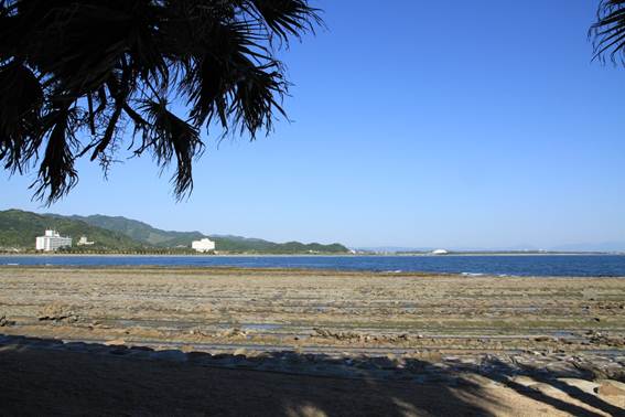 説明: C:\Users\ktsik\Desktop\みやざき周遊Part2、2011年4月28〜29日\IMG_8470.JPG