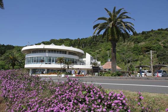 説明: C:\Users\ktsik\Desktop\みやざき周遊Part2、2011年4月28〜29日\IMG_8488.JPG