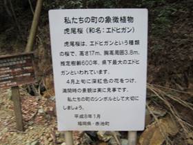 ����: C:\Users\ktsik\Desktop\���q�R�J�R�ՁE���R�i�Ղ̔����j�Q�O�P�P�N�S���R��\IMG_2166.JPG