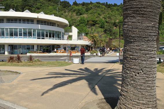 説明: C:\Users\ktsik\Desktop\みやざき周遊Part2、2011年4月28〜29日\IMG_8510.JPG