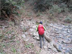 ����: C:\Users\kita-p\Desktop\���q�R�J�R�ՁE���R�i�Ղ̔����j�Q�O�P�P�N�S���R��\IMG_2171.JPG