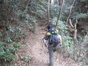 ����: C:\Users\kita-p\Desktop\���q�R�J�R�ՁE���R�i�Ղ̔����j�Q�O�P�P�N�S���R��\IMG_2173.JPG