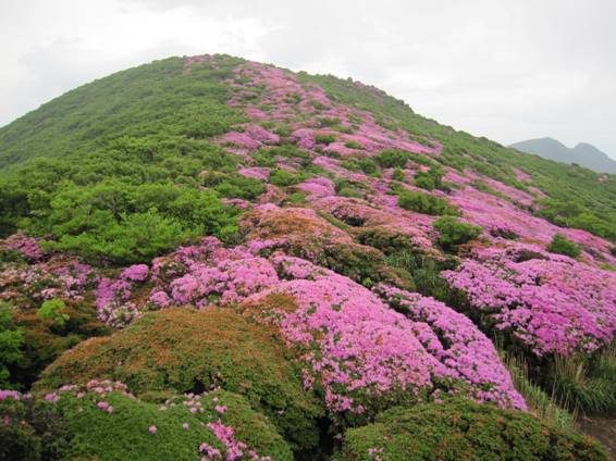 18.�����x�̎ʐ^