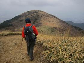 ����: C:\Users\ktsik\Desktop\���q�R�J�R�ՁE���R�i�Ղ̔����j�Q�O�P�P�N�S���R��\IMG_2220.JPG