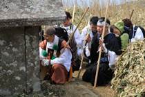 ����: C:\Users\ktsik\Desktop\���q�R�J�R�ՁE���R�i�Ղ̔����j�Q�O�P�P�N�S���R��\IMG_7991.JPG