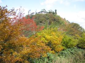 11.�p�F�R�̎ʐ^