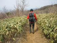 ����: C:\Users\ktsik\Desktop\���q�R�J�R�ՁE���R�i�Ղ̔����j�Q�O�P�P�N�S���R��\IMG_2226.JPG