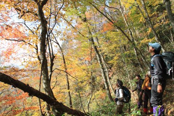 29.���ܘY�R�̎ʐ^