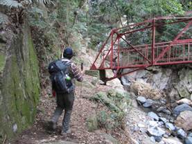 ����: C:\Users\ktsik\Desktop\���q�R�J�R�ՁE���R�i�Ղ̔����j�Q�O�P�P�N�S���R��\IMG_2263.JPG