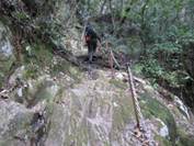 ����: C:\Users\ktsik\Desktop\���q�R�J�R�ՁE���R�i�Ղ̔����j�Q�O�P�P�N�S���R��\IMG_2268.JPG