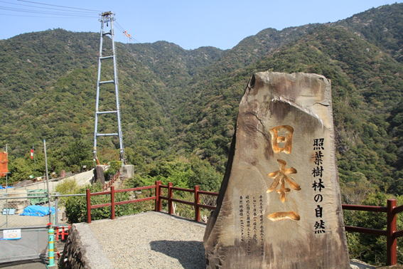 綾の照葉の吊り橋