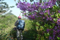 59.�Í]�O�R�̎ʐ^