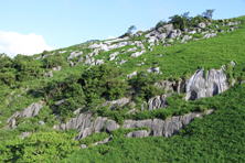 63.������̎ʐ^