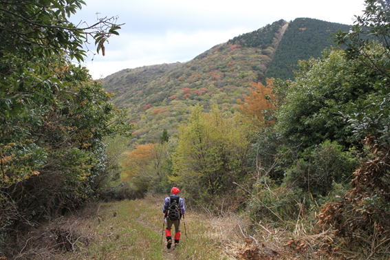 75���q�R�̎ʐ^